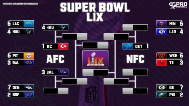 NFL Playoff Bracket