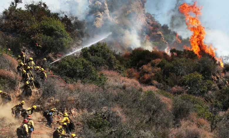 The Palisades Fire